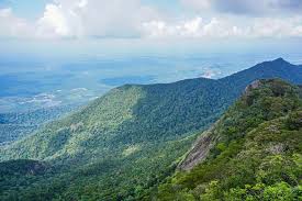 Gunung Ledang Recreational Forest